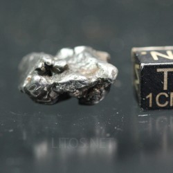 Meteorito campo del cielo