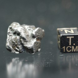 Meteorito campo del cielo