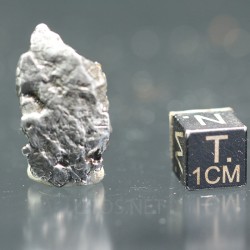 Meteorito campo del cielo