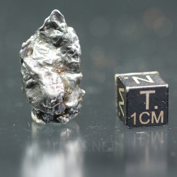 Meteorito campo del cielo