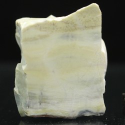 Algas verde-azuladas fósiles