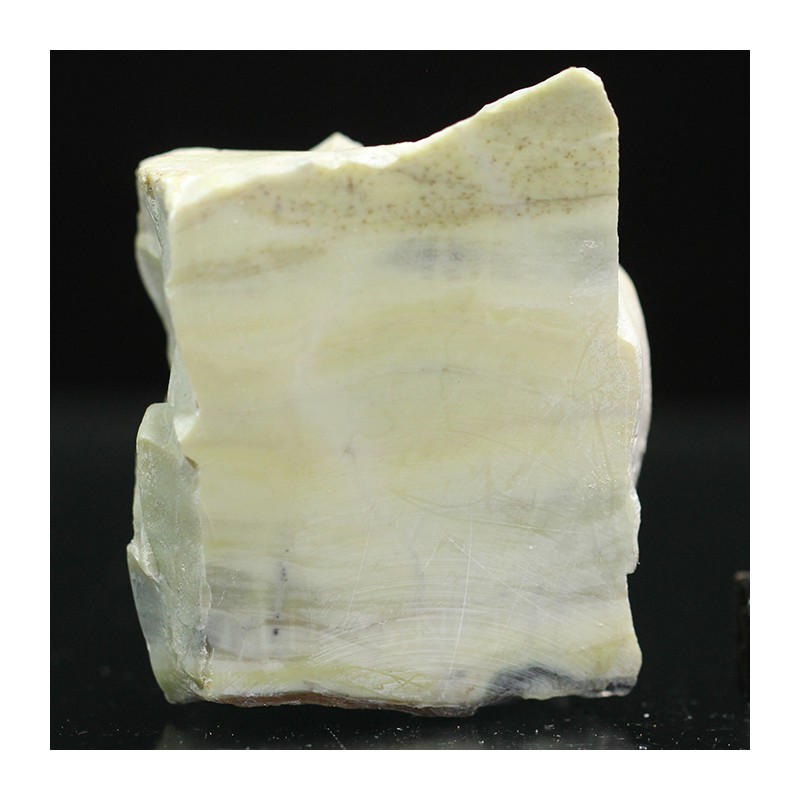 Algas verde-azuladas fósiles