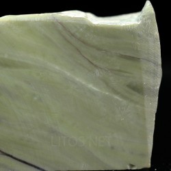 Algas verde-azuladas fósiles