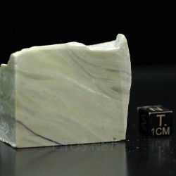 Algas verde-azuladas fósiles