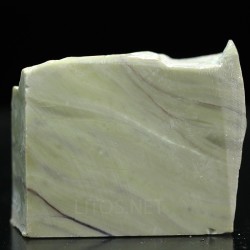 Algas verde-azuladas fósiles