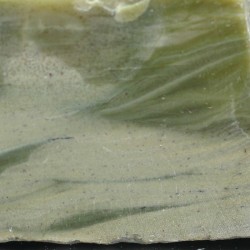 Algas verde-azuladas fósiles