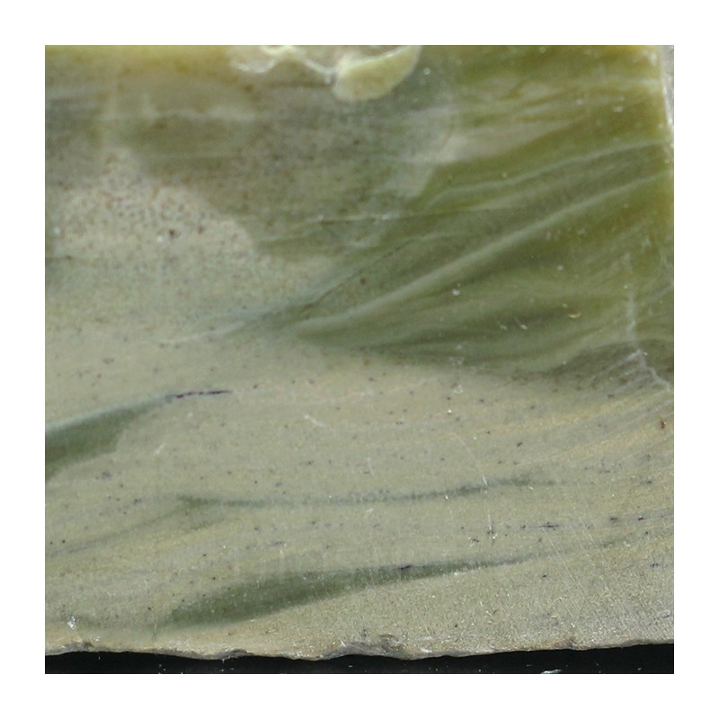 Algas verde-azuladas fósiles