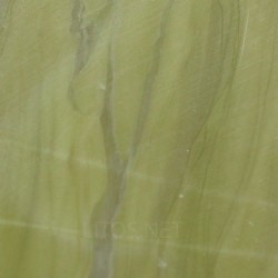 Algas verde-azuladas fósiles