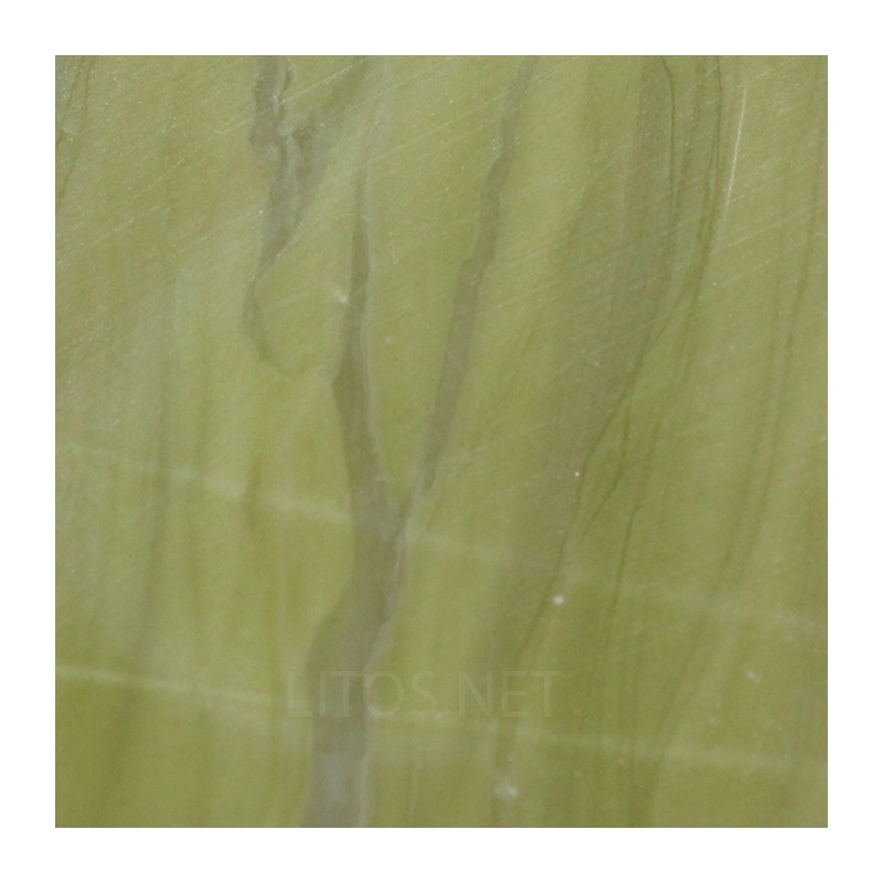 Algas verde-azuladas fósiles