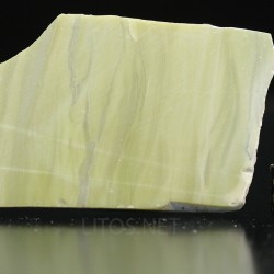 Algas verde-azuladas fósiles