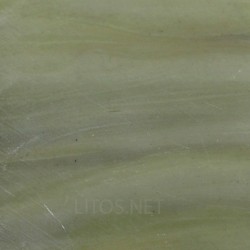 Algas verde-azuladas fósiles