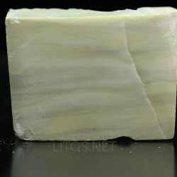 Algas verde-azuladas fósiles