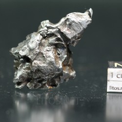 Meteorito campo del cielo