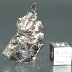Meteorito campo del cielo