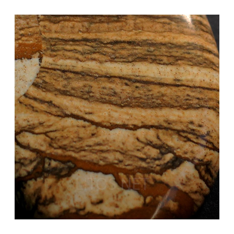 Jaspe paisina colgante