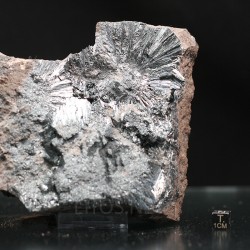 Pirolusita mineral