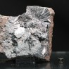Pirolusita mineral