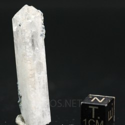 Danburita