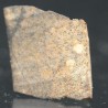 Meteorito NWA 788