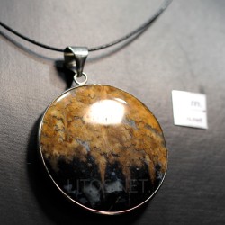 Colgante de Xilópalo