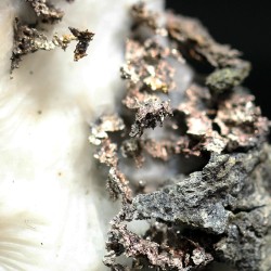 Plata nativa