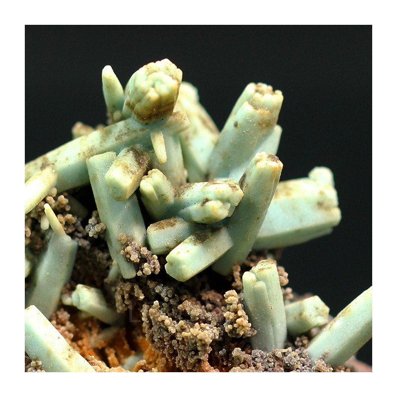 Plumbogummita