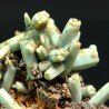 Plumbogummita