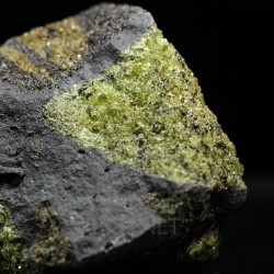 Olivino