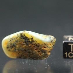 Ámbar azul