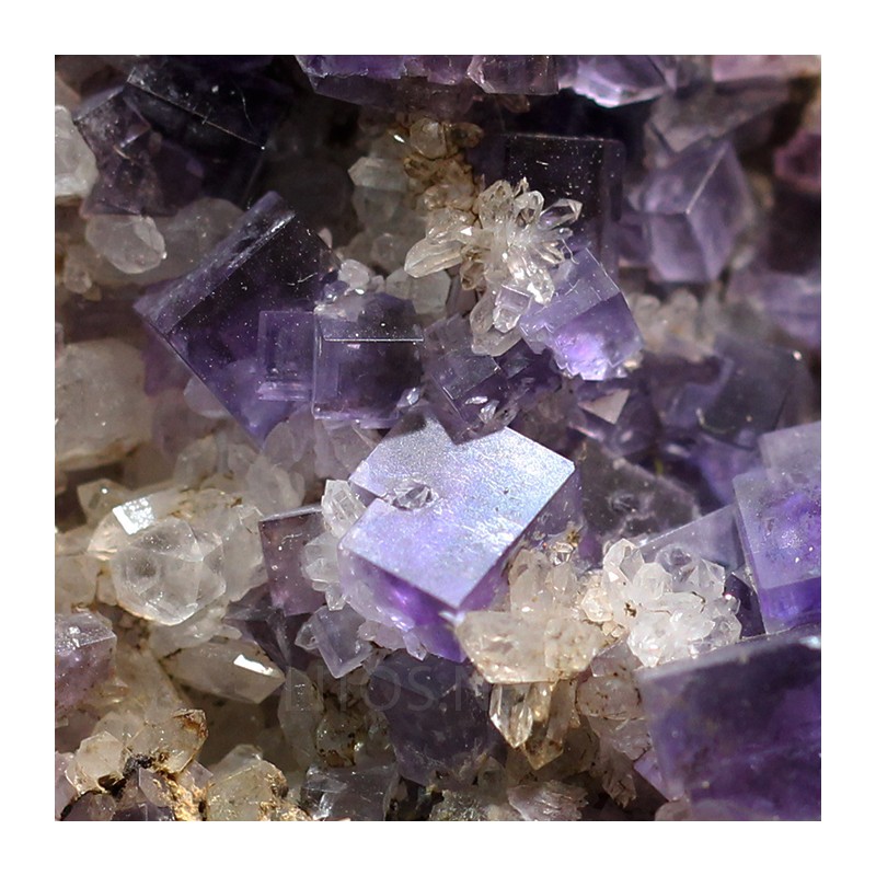 Fluorita