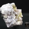 Fluorapatito