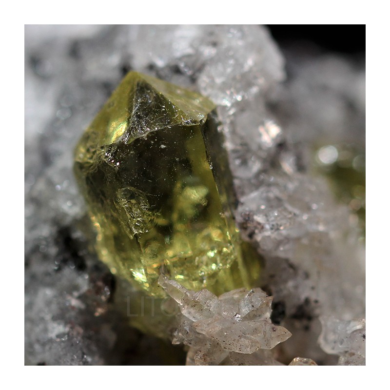 Fluorapatito