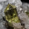 Fluorapatito