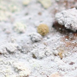 Natrofarmacoalumita