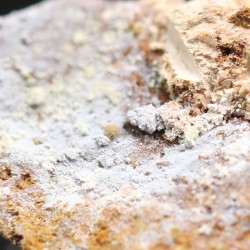 Natrofarmacoalumita
