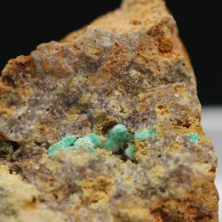 Zalesiita