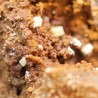 Natrofarmacoalumita