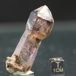Amatista cetro