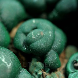 Malaquita mineral