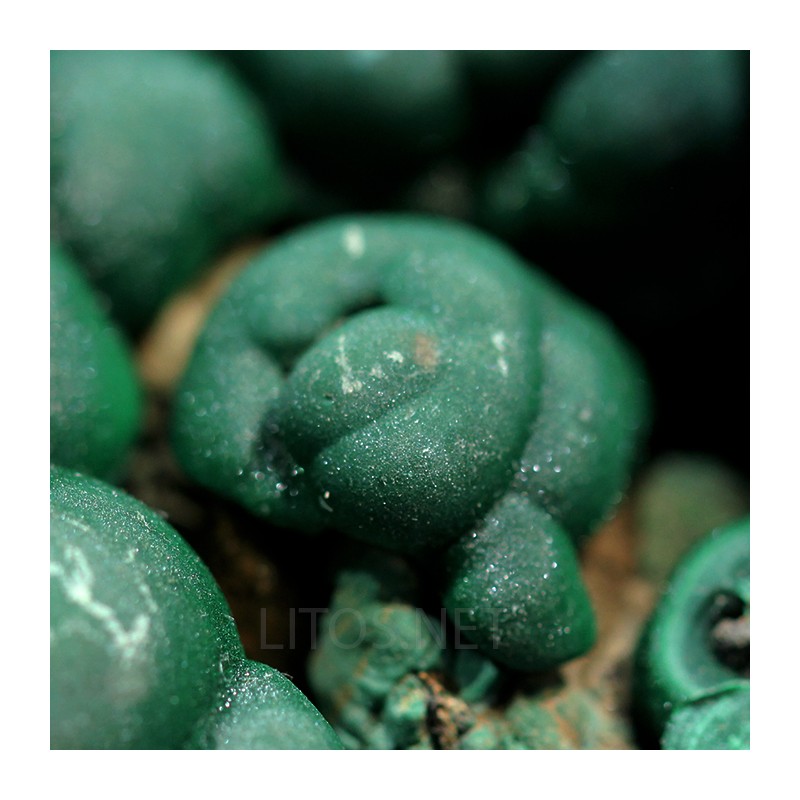 Malaquita mineral