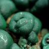 Malaquita mineral