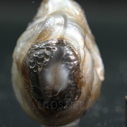 Ágata lemuriana