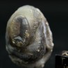 Ágata lemuriana