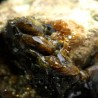 Vesuviana mineral