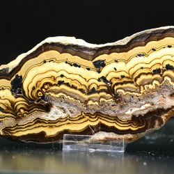 Blenda y galena