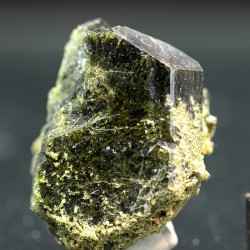 Epidota