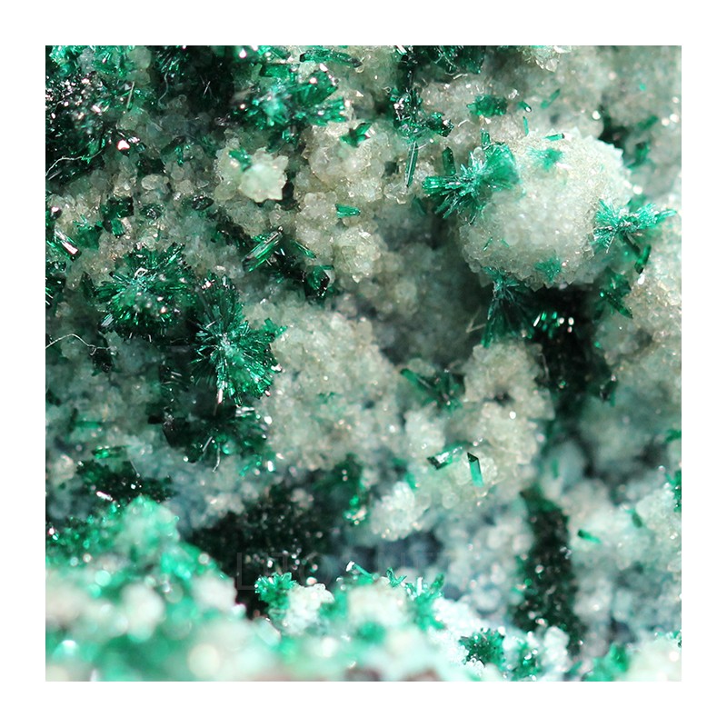 Atacamita con crisocola
