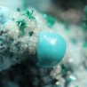 Atacamita con crisocola