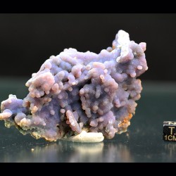 Calcedonia