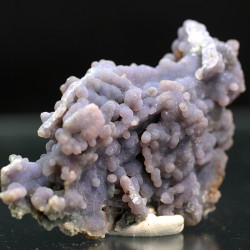 Calcedonia